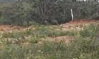 Imagem 3: Terreno à Venda, 1000 m2, R$ 35 mil, Baldim- MG