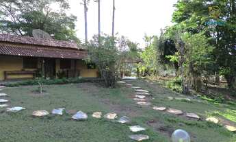 Imagem 7: ???? Fazendinha à Venda em Mateus Leme – MG