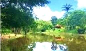 Imagem 2: ???? Fazendinha à Venda em Mateus Leme – MG