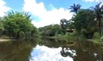 Imagem 3: ???? Fazendinha à Venda em Mateus Leme – MG