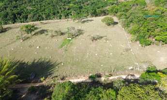 Imagem 4: ???? Fazendinha à Venda em Mateus Leme – MG