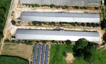 Imagem 2: Aviário à Venda, 12 hectares, R$ 6 milhões, em Divinópolis MG