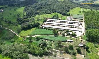 Imagem 4: Aviário à Venda, 12 hectares, R$ 6 milhões, em Divinópolis MG