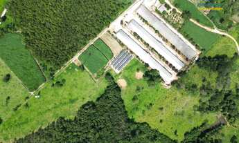 Imagem 5: Aviário à Venda, 12 hectares, R$ 6 milhões, em Divinópolis MG