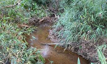 Imagem 7: ???? Chácara à Venda em Mateus Leme/MG ????