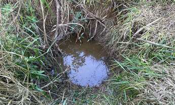 Imagem 5: ???? Chácara à Venda em Mateus Leme/MG ????