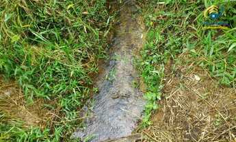 Imagem: Fazendinha à Venda, 20 mil m2, R$ 251 mil