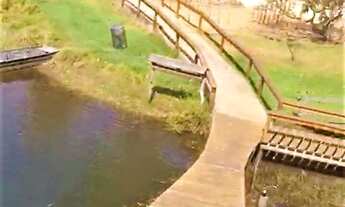 Imagem 3: Fazenda à Venda, 1580 hectares, R$ 50 milhões, em Unaí MG