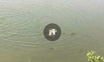 Imagem 6: Fazenda à Venda, 1580 hectares, R$ 50 milhões, em Unaí MG