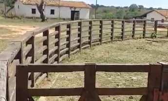 Imagem: Fazenda à Venda,1000 hectares, R$ 8 milhões
