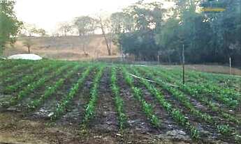 Imagem: Fazenda à Venda, 66 hectares, R$ 1,5 milhões