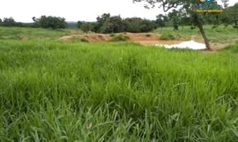 Imagem 7: Fazenda à Venda, 66 hectares, R$ 1,5 milhões, em Inimutaba MG