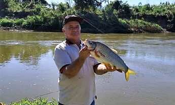 Imagem 4: Fazenda à Venda, 66 hectares, R$ 1,5 milhões, em Inimutaba MG