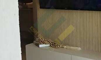 Imagem 6: Like Casa Verde - Apto 2 dormitórios com suite -Casa Verde ZN