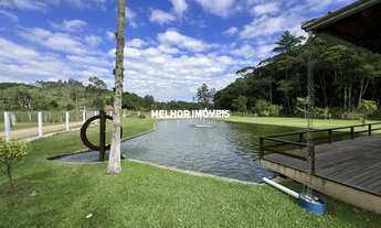 Imagem 3: Sítio a venda com 26.000 m² no Bairro Rio do Meio em Camboriú - SC