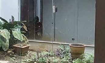 Imagem 5: Casa 540 m² Área Útil - 3 Suítes com Hidro - 8 Veículos à venda no bairro Nova Petrópolis