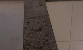 Imagem 2: Cobertura Duplex 150 m² - 3 Dormitórios (1 suíte) - 2 Vagas à venda no bairro Paraíso - Sa