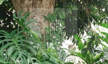 Imagem 2: Sítio Rural com 2 Casas construídas