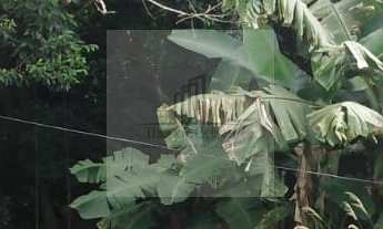 Imagem 3: Sítio Rural com 2 Casas construídas