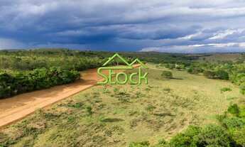 Imagem 4: Fazendinha Santa Clara