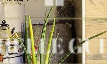 Imagem 5: Casa no Condomínio Horto Florestal 2, Sorocaba/SP