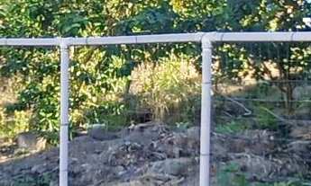 Imagem: Terreno em Itaguaçu - 220 metros da praia