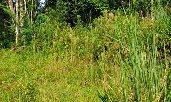 Imagem: Terreno em área Industrial