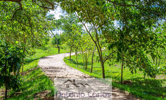 Imagem 7: Grande oportunidade - Terreno no Condomínio Tamboré - Jaguariúna/SP