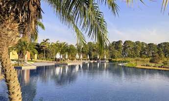 Imagem 7: Lote à venda no Haras Patente