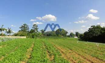 Imagem 3: Terreno à venda no bairro Centro - Ibiúna/SP