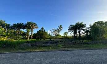 Imagem 2: Terreno 1.000m² no Dolce Vita Praia em Morro de São Paulo R$ 530.000,00