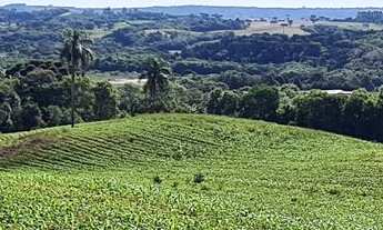 Imagem: Área 11 - Chácara - área p Chácara!