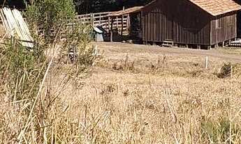 Imagem 3: Chácara - Lindo Sítio 33,77 Alqueires - Itambezinho!