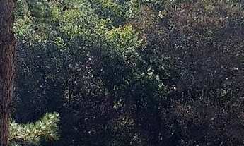 Imagem 7: Chácara - Lindo Sítio 33,77 Alqueires - Itambezinho!