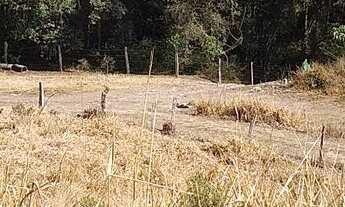 Imagem 5: Chácara - Lindo Sítio 33,77 Alqueires - Itambezinho!