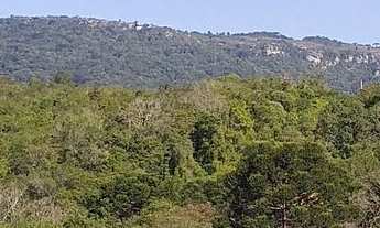 Imagem 4: Chácara - Lindo Sítio 33,77 Alqueires - Itambezinho!