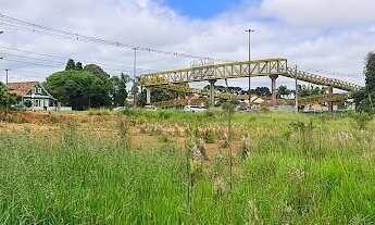 Imagem 6: Área Industrial 22.950m² - Frente BR 277 - Rondinha!