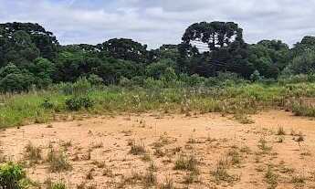 Imagem 2: Área Industrial 22.950m² - Frente BR 277 - Rondinha!