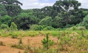 Imagem 7: Área Industrial 22.950m² - Frente BR 277 - Rondinha!