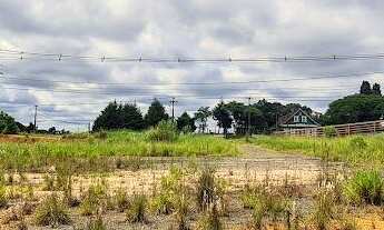 Imagem 4: Área Industrial 22.950m² - Frente BR 277 - Rondinha!