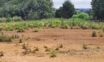 Imagem 3: Área Industrial 22.950m² - Frente BR 277 - Rondinha!