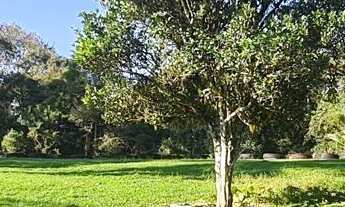 Imagem 5: Chácara com 192.000m² , Vargedo, Campo Largo/PR