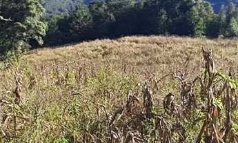 Imagem 6: Chácara com 192.000m² , Vargedo, Campo Largo/PR