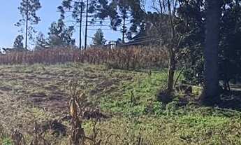 Imagem 7: Chácara com 192.000m² , Vargedo, Campo Largo/PR