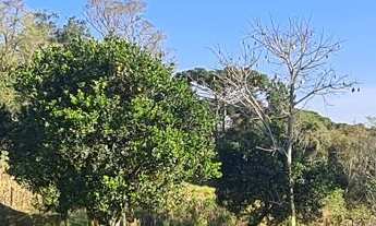 Imagem 4: Chácara com 192.000m² , Vargedo, Campo Largo/PR