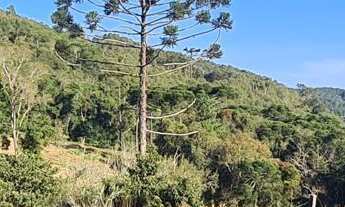 Imagem 3: Chácara com 192.000m² , Vargedo, Campo Largo/PR