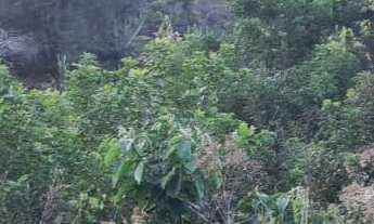 Imagem 6: Área Rural - Pedra Azul ! Area para Formar Chácara! **Oportunidade*