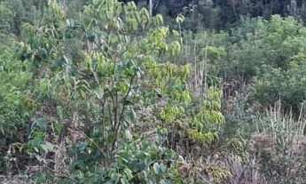 Imagem 5: Área Rural - Pedra Azul ! Area para Formar Chácara! **Oportunidade*