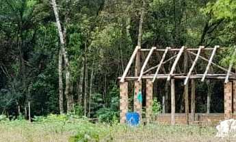 Imagem 3: Chácara - São Caetano - Balsa Nova - PR