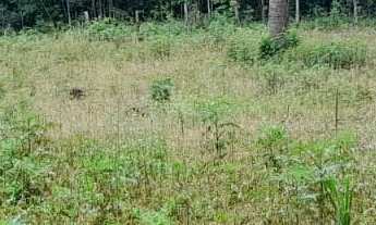 Imagem 2: Chácara - São Caetano - Balsa Nova - PR